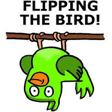 Flipped Bird